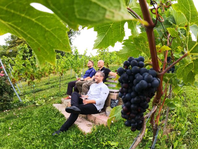 Jahrgangsprobe des Winzerhof Heckenm&uuml;hle 