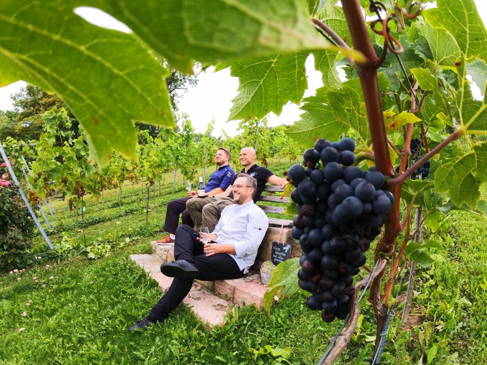 Jahrgangsprobe des Winzerhof Heckenm&uuml;hle 