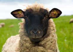 Aktiv die Rh&ouml;n erleben